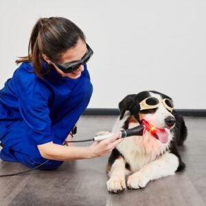 Nueva Edición Curso Terapia Láser para veterinarios. - Nuevas fechas próximamente