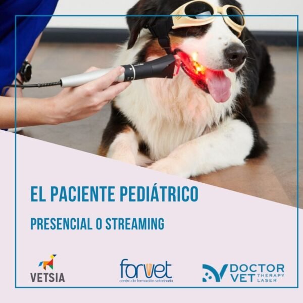 Nueva Edición Curso Terapia Láser para veterinarios. - Nuevas fechas próximamente - Imagen 2