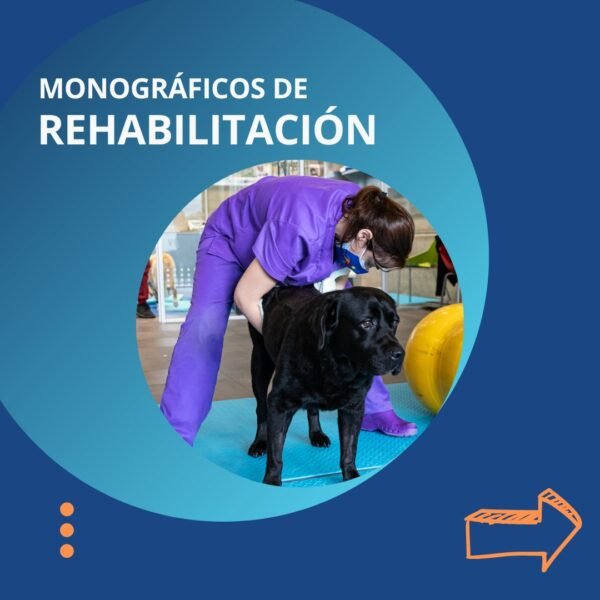 Monográficos de Rehabilitación para Auxiliares. ONLINE