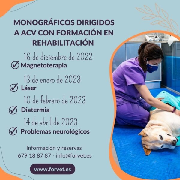 Monográficos de Rehabilitación para Auxiliares. ONLINE - Imagen 4