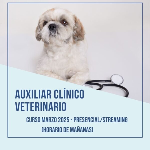 Curso Auxiliar Clínico Veterinario Edición Febrero 26 -Presencial o Streaming- Nuevas fechas próximamente