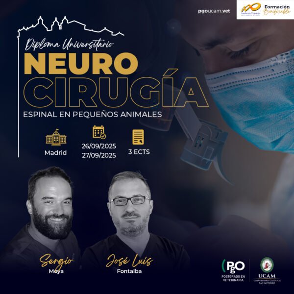 Neurocirugía Espinal en Pequeños Animales - Diploma Universitario