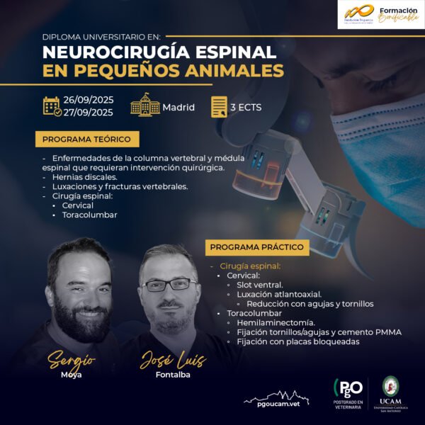 Neurocirugía Espinal en Pequeños Animales - Diploma Universitario - Imagen 2