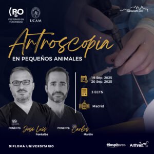 Artroscopia en Pequeños Animales - Diploma Universitario