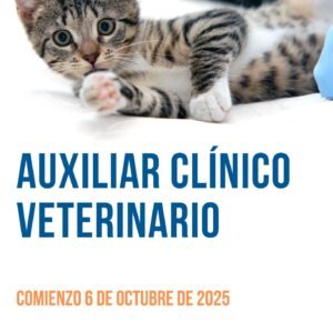 auxiliar clínico veterinario