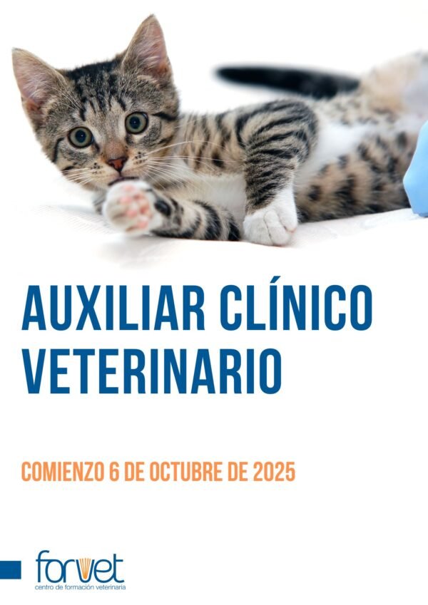 auxiliar clínico veterinario