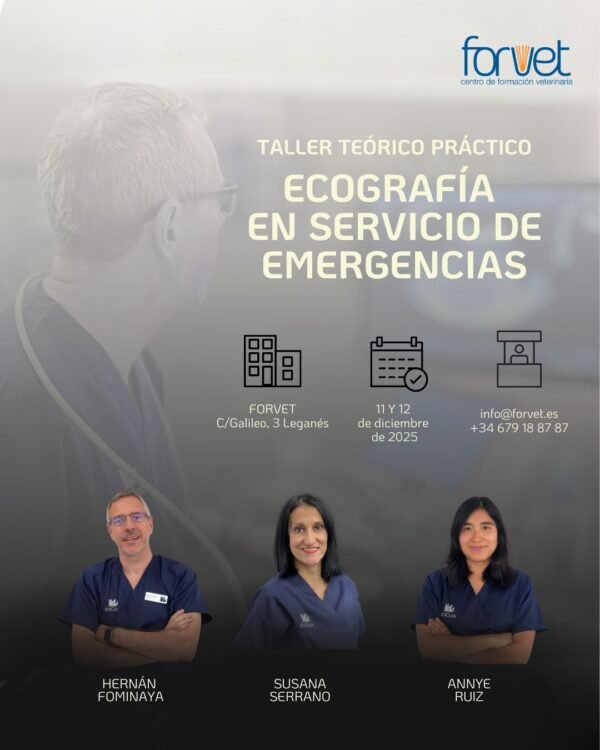 NUEVO TALLER TEÓRICO-PRÁCTICO Ecografía en servicio de emergencias- 11 y 12 de diciembre