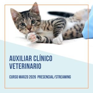 Curso Auxiliar Clínico Veterinario Edición Marzo 26 -Presencial o Streaming-