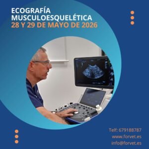 Ecografía musculoesquelética en el perro - 28 y 29 de mayo de 2026- Formato presencial y online.