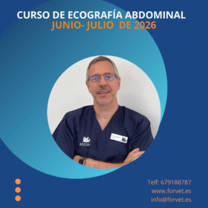 Ecografía abdominal en pequeños animales. Nueva edición junio-julio 2026